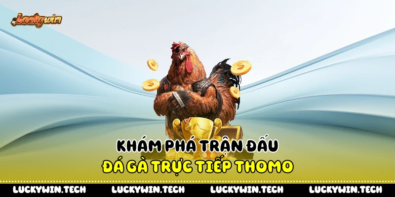 Khám phá trận đấu đá gà trực tiếp Thomo