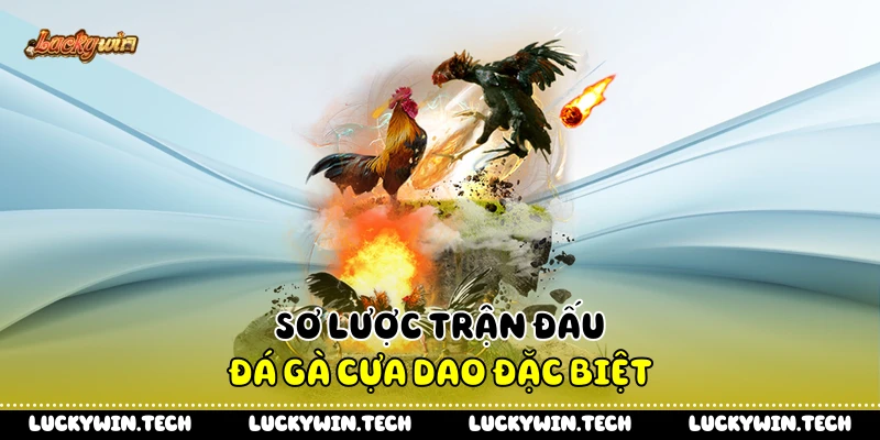 Sơ lược trận đấu đá gà cựa dao đặc biệt